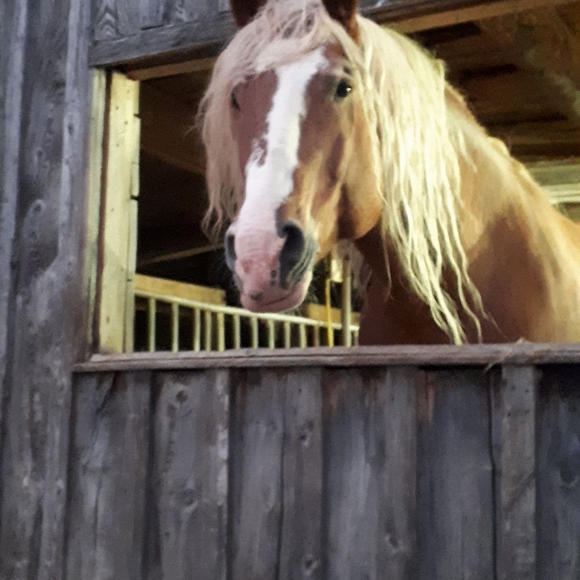 Meet your Posher, Amanda - Picture 1 of 1